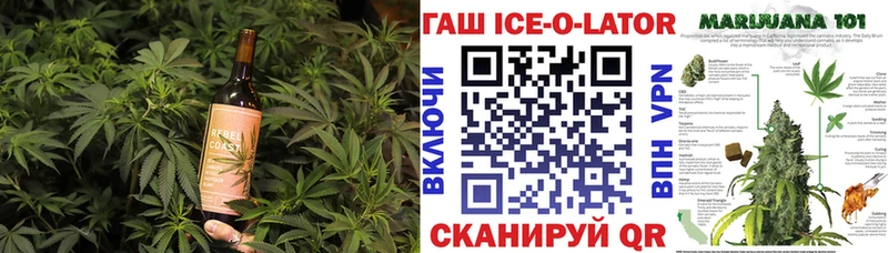 Cannafood конопля  mega как зайти  Чаплыгин 